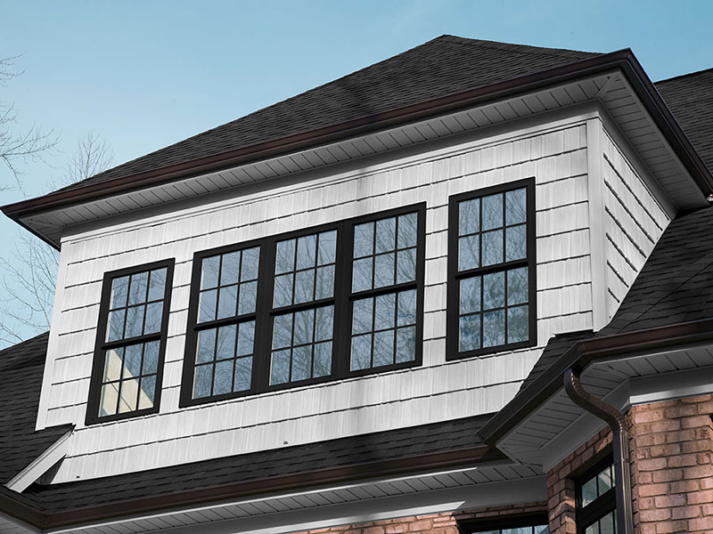 Black Windows